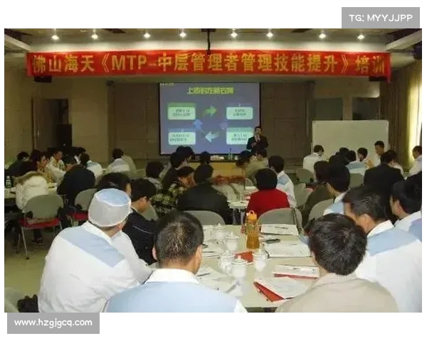 如何通过有效运用辅助光辉装备提升团队协作与战斗效率