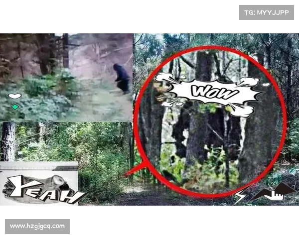 探秘世界未解之力 探秘世界未解之力