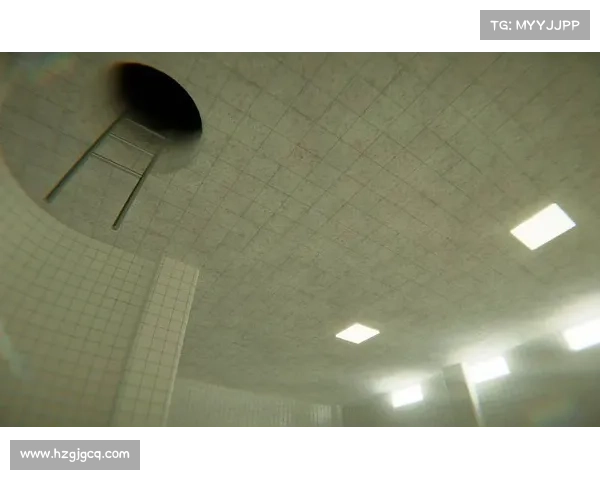 死亡搁浅游戏定价策略与玩家购买决策行为的深度探讨 死亡搁浅游戏定价策略与玩家购买决策行为的深度探讨