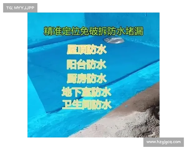 获取避水珠的最佳方法与实用技巧详解 提升防水效果的小窍门与注意事项 获取避水珠的最佳方法与实用技巧详解 提升防水效果的小窍门与注意事项