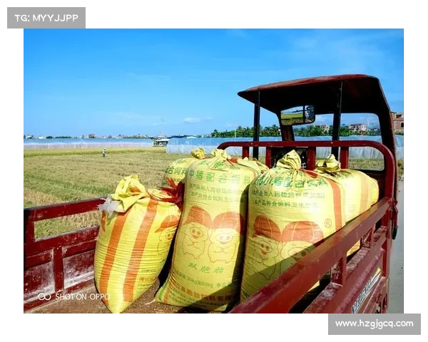 巴萨队徽焕新启示录从设计初心到时代变迁的传承之路